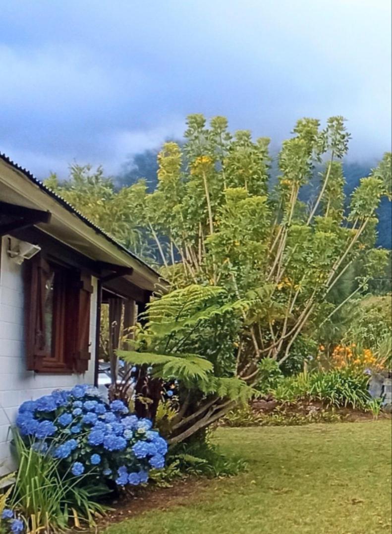 La Caz'Anna Cilaos Exterior foto